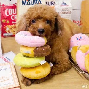 Bagel-Shaped Squeaky Plush Toy for Dogs — Chew, Hide-and-Seek, and Scent Work