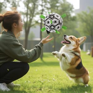 Dog Toy Ball — Self-Amusement Toy for Border Collies, Labradors, and Corgis — Training-Specific Dog Soccer Ball — Durable & Chew-Resistant Pet Supply