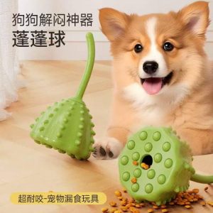 Lotus Pod Pet Treat-Dispensing Toy