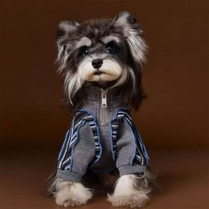 Dog clothes autumn sportswear schnauzer teddy bear poodle Yorkshire terrier striped patchwork