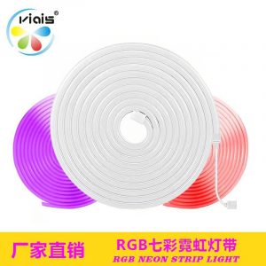 Waterproof Outdoor LED Lights for Ambient Lighting and Advertising