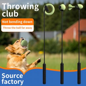 Pet Dog Training Devices, Toys, and Supplies — Carbon Fiber