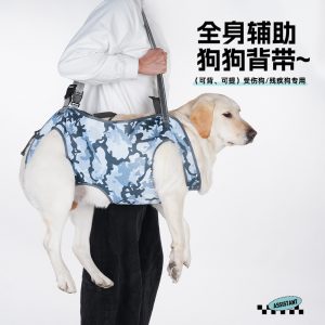 Adjustable Pet Support Harness — Rehabilitation & Mobility Aid for Senior and Disabled Dogs