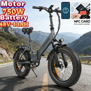 20*4.0 inch fat tire folding electric bicycle