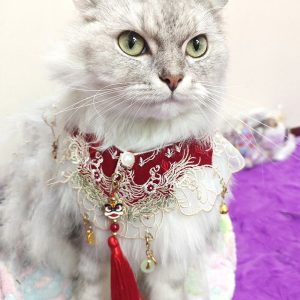 Dog Bib Hanfu Accessory: "Awakened Lion" Tassel Pendant