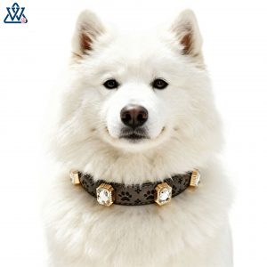 Pet Dog Collar with Rhinestone Paw Print Design