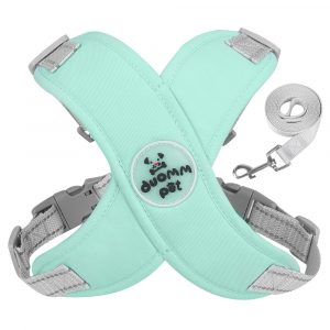 Macaron-Style Dog Harness and Leash Set