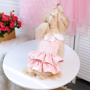 Princess Dress Teddy Bichon