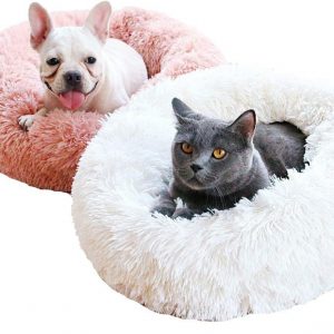 Warm Cat Beds for Winter