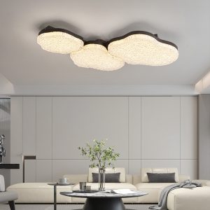 Living Room Main Light & Bedroom Ceiling Light