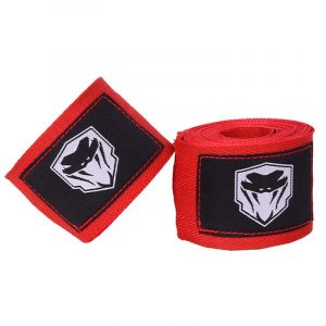 Muay Thai Martial Arts and Protective Gear