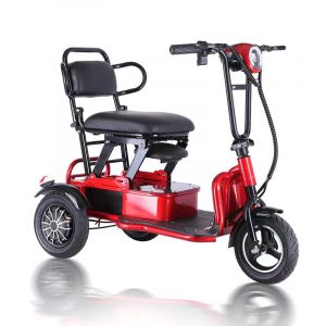Portable and Lightweight Electric Tricycle
