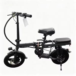 48V 30AH battery electric bicycle