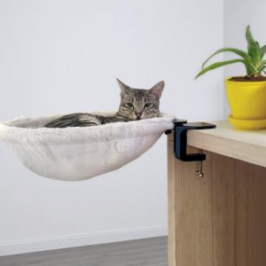 A Cat Desk Hammock Can Serve as an Alternative to a Cat Tree
