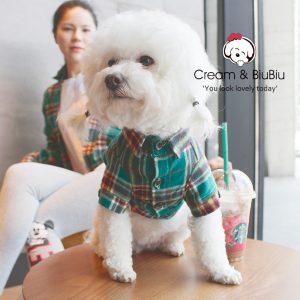 Lightweight Summer Matching Outfits for Pets and Owners