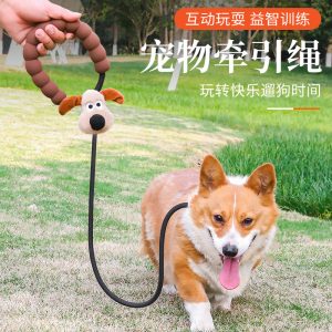 Cartoon-Style P-Leash for Dogs — Anti-Pull Training Leash for Walks