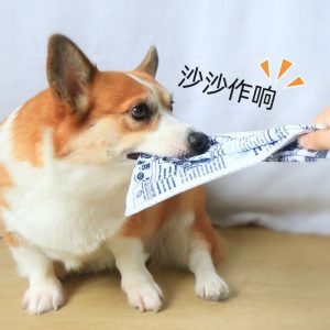 Dog Chew Toy: Realistic Crinkly Newspaper