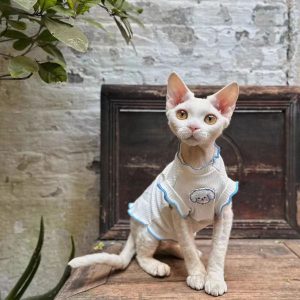 Hairless Cat/Devon Rex Style Sleeveless Vest