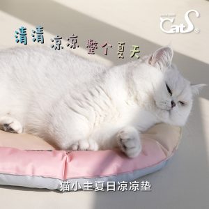 Summer Pet Cooling Mat