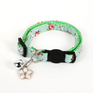 Fresh floral cat belt