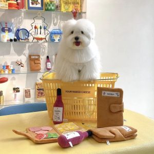 Thickened plush dog toys for export