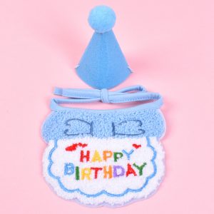 Decorated Birthday Hat