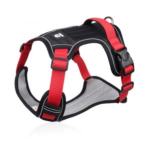 Break free from the dog leash and walker's harness