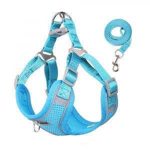 Pet leash