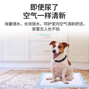 Pet Supplies: Dog Diapers