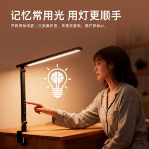 Computer screen lamp reading lamp