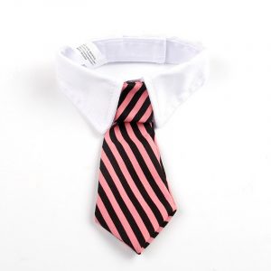 Dog tie