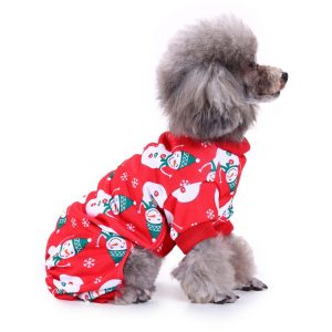 Festive Pet Supplies for the New Year