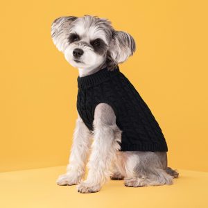 Warm, Solid-Color Cable-Knit Pullover