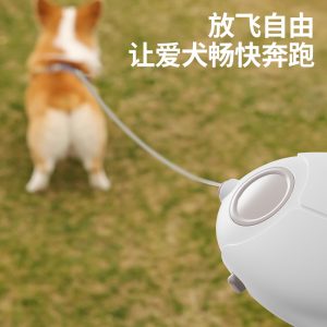 Retractable Luminous Dog Leash