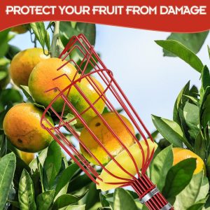 The Ultimate Fruit-Thinning Tool