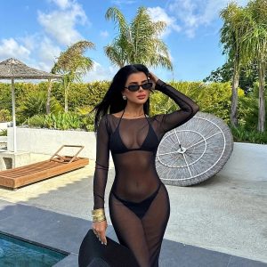 Mesh sheer long-sleeved dress