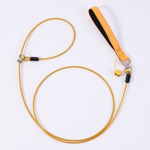 Large and small dog leashes
