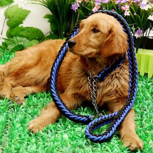 8-Strand Braided Nylon Pet Leash