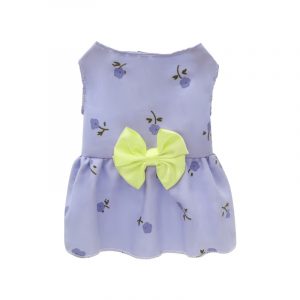 Spring Princess-Style Dresses