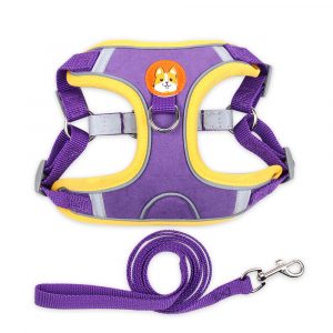dog leash