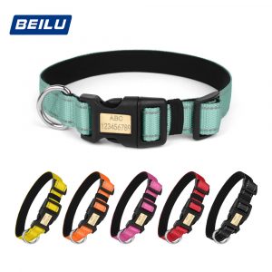 Double-layer anti-escape pet collar