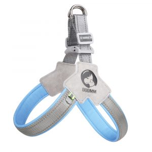 Expandable Y-shaped dog chest and back