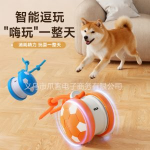 Cat Toy Ball for Solo Play