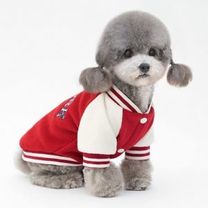Cute Pet Outfits for the New Year