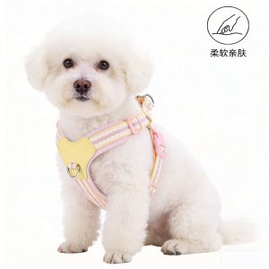 Dog Harness & Leash Set for Small Dogs — Pet Chest-Strap Walking Gear for Puppies and Outings